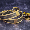 HANDCUFFS - AMARI Locking Submissive Handcuff Bracelet or Anklet, Black and Gold, BOLD