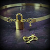 THE LODI Locking Submissive or Slave BDSM Collar is fabricated with strands of 14k gold filled embracing to create a seductive artisan collar. 