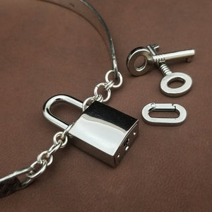 DARKENWALD Locking Handcuff Bracelets or Ankle Restraints, Sterling
