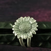 * READY TO SHIP SUNFLOWER Ring {Size 8)